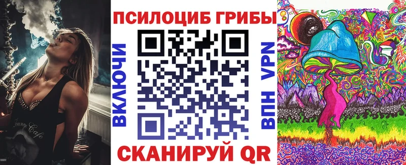 где можно купить   Кунгур  Галлюциногенные грибы Magic Shrooms 