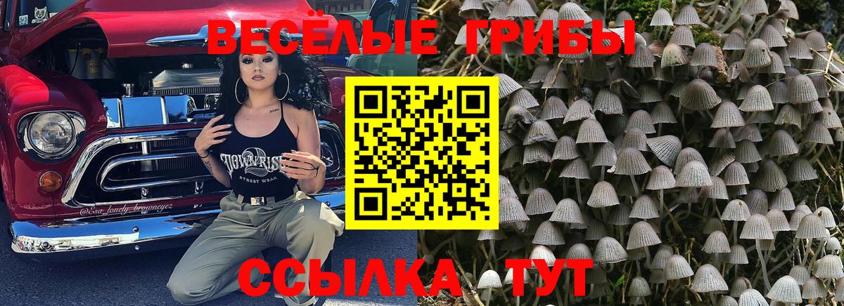 Псилоцибиновые грибы MAGIC MUSHROOMS  Псилоцибиновые грибы Psilocybine cubensis  Вход с VPN  Кунгур 