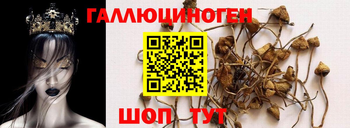 Псилоцибиновые грибы Magic Shrooms Кунгур